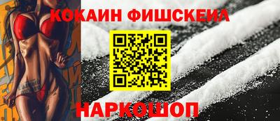 амф Новодвинск