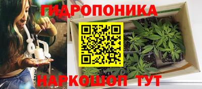 МДПВ Новокубанск